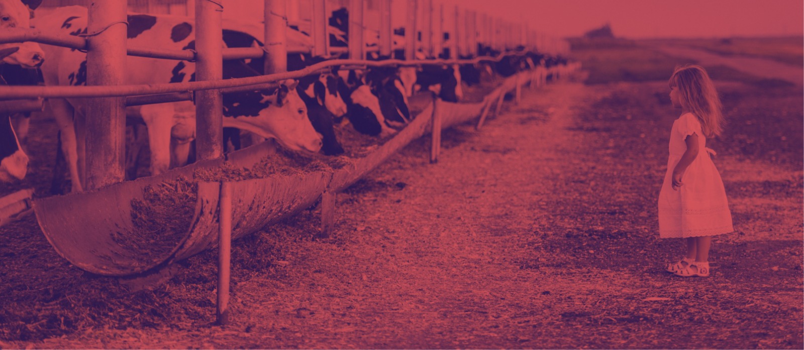 Animal Cell Background